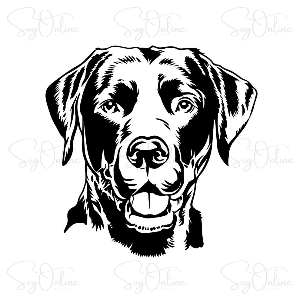 black labrador dog svg free download design - Free SVG