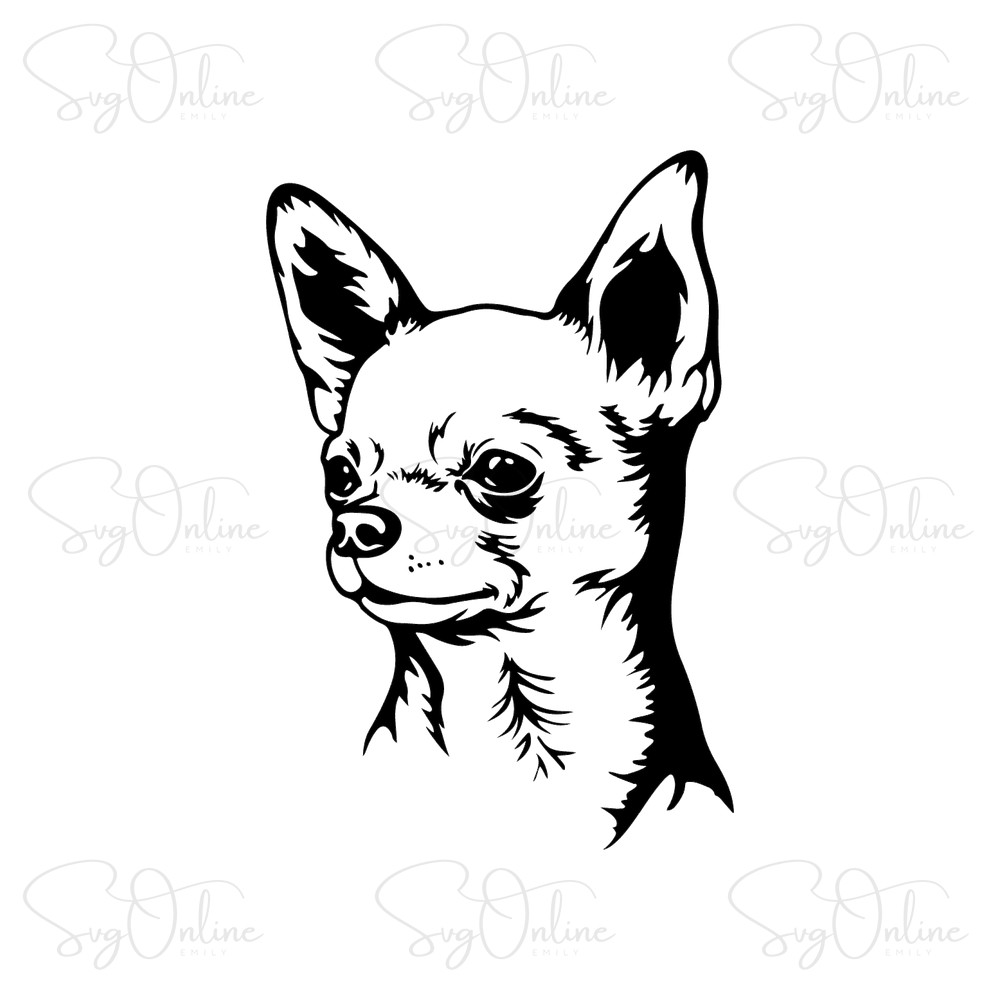 cute peeking chihuahua dog svg free download - Free SVG
