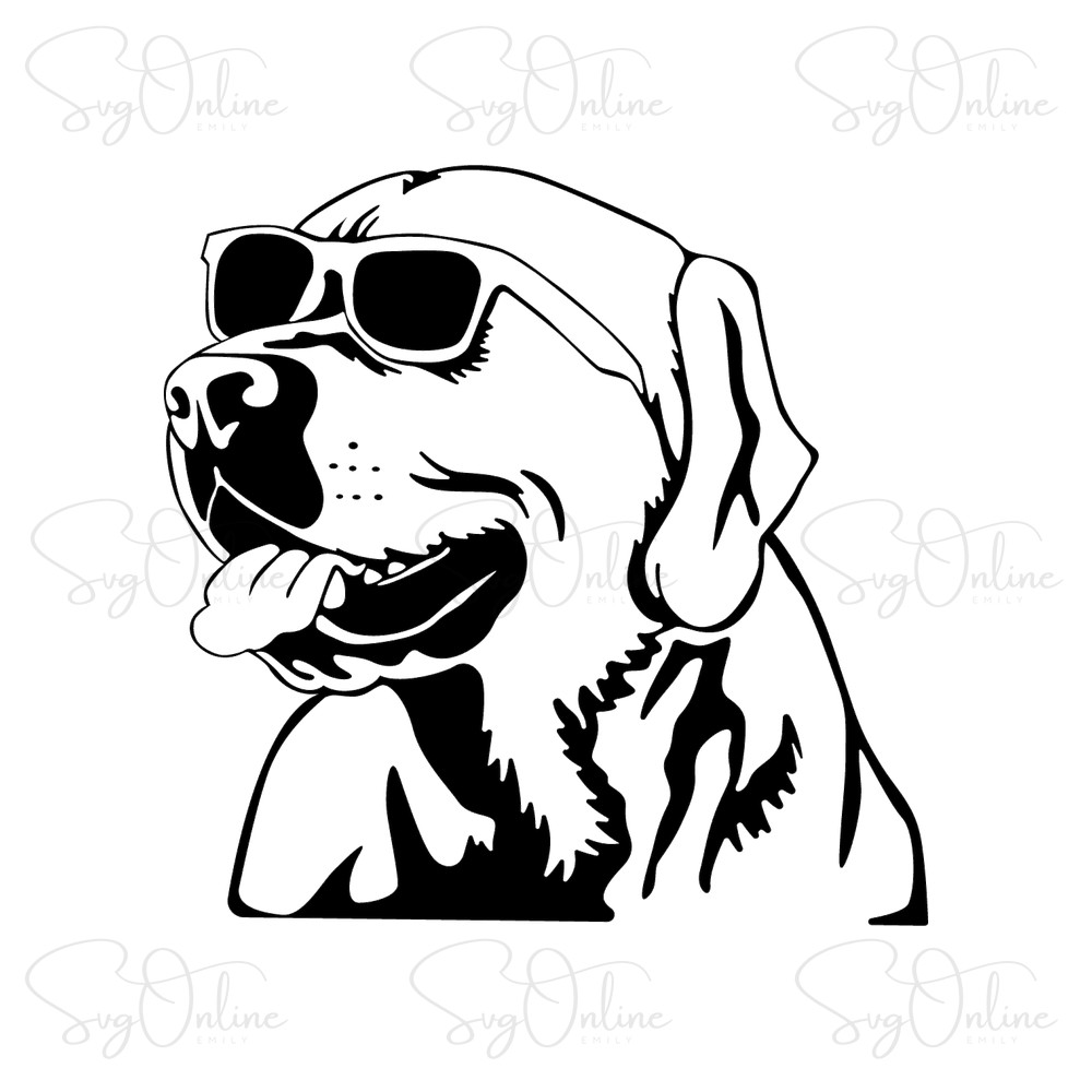 labrador retriever sunglasses svg free download - Free SVG