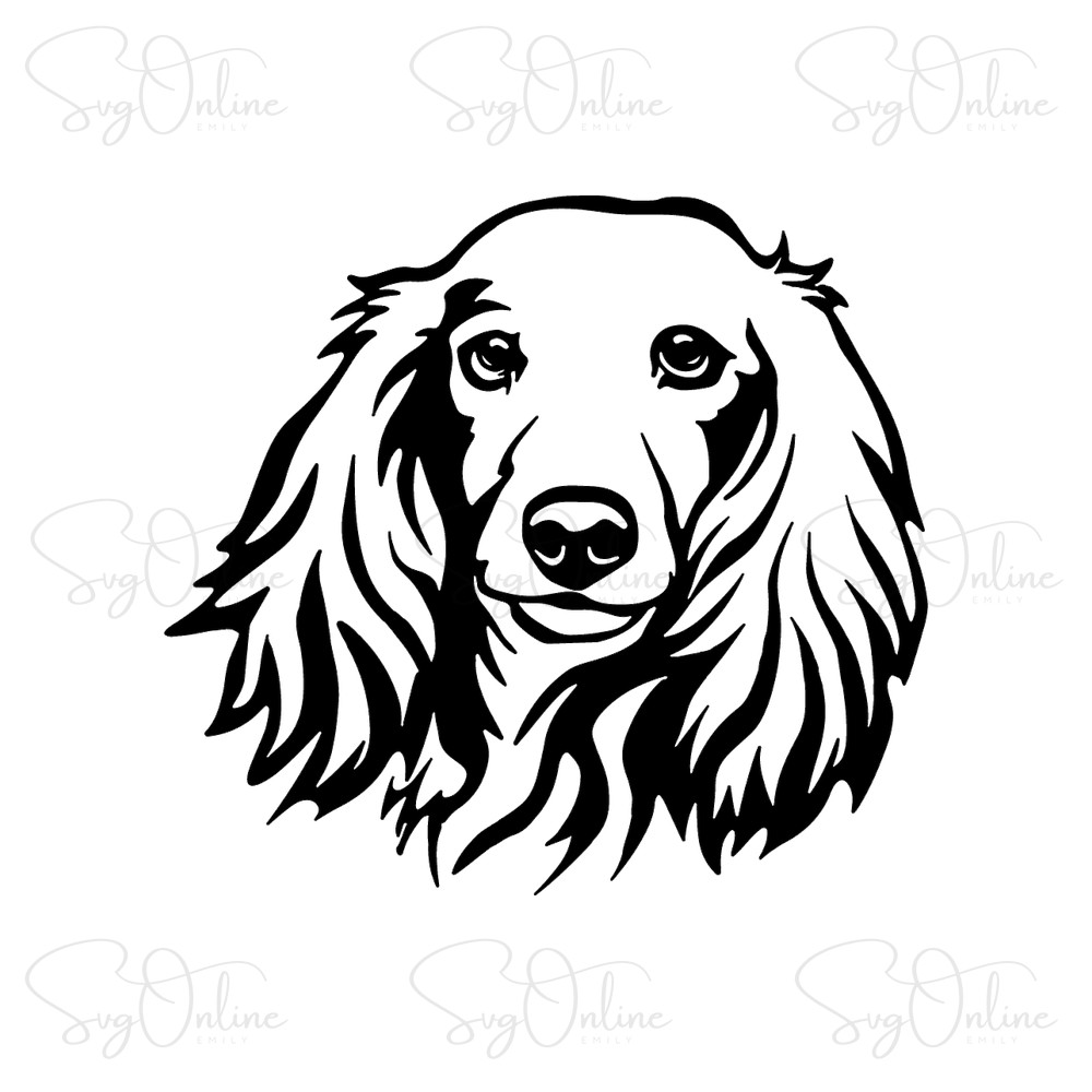 long haired dachshund svg free download design - Free SVG