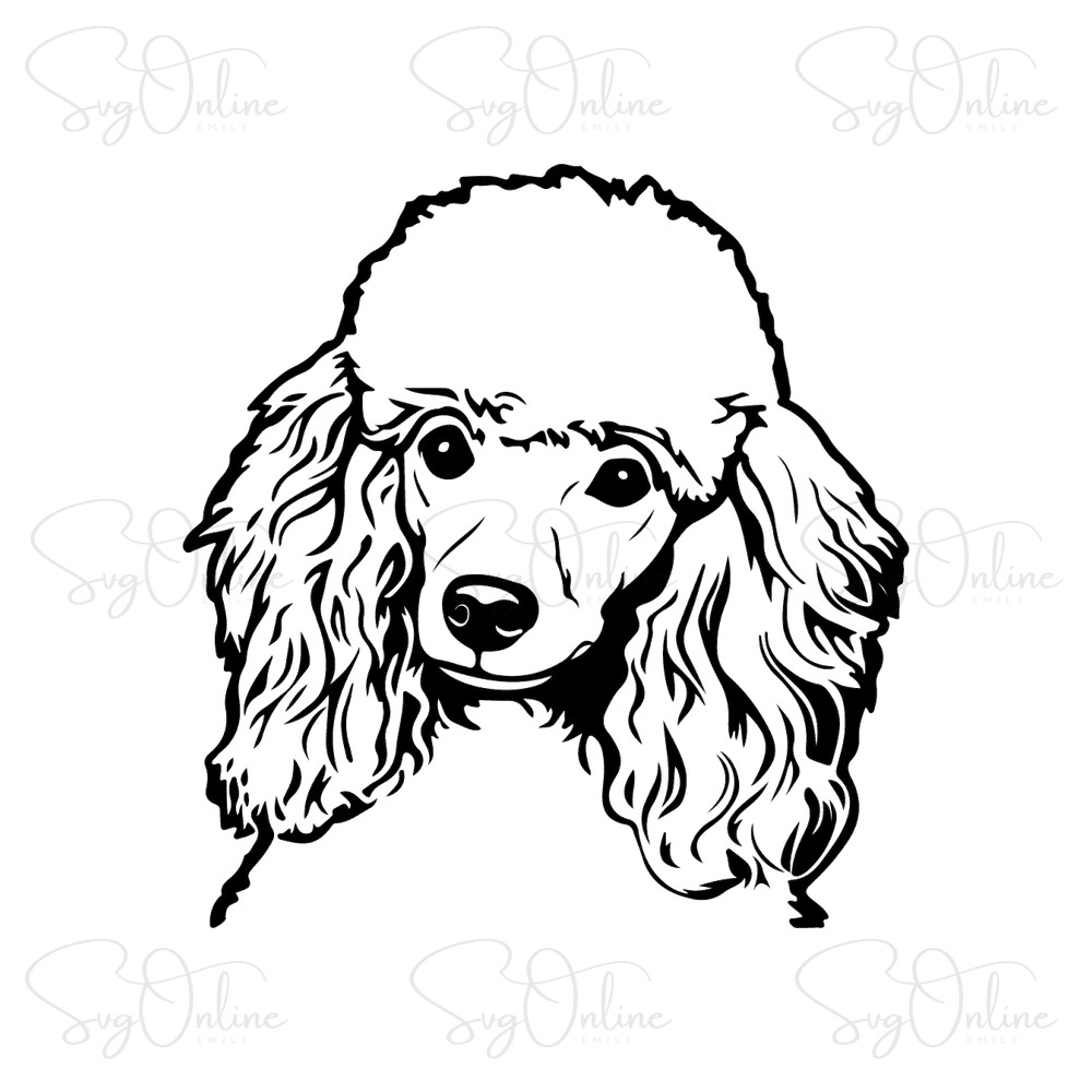 poodle dog svg free download silhouette design - Free SVG